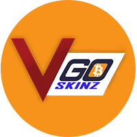 VGOSkinz